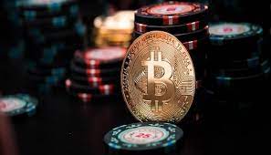Вход на официальный сайт Casino 7Bit